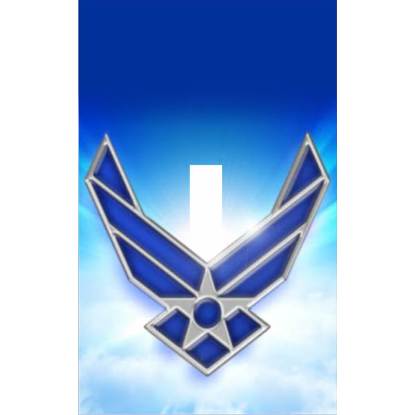 Air Force Symbol on Light Switch Panel