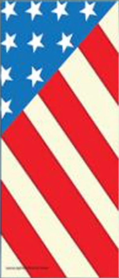 American Flag on Door Cover