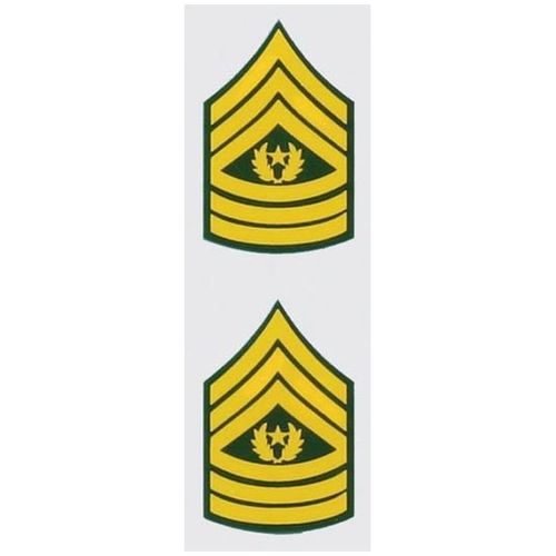 E-9 Command Sgt.Major Mini Decal