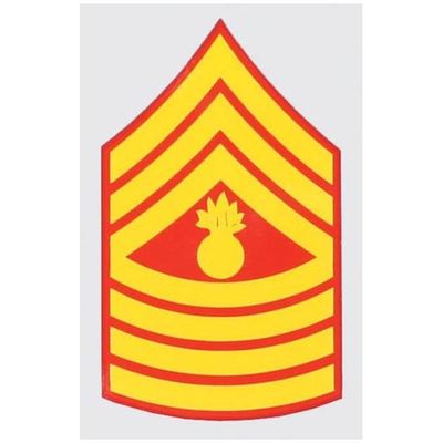 USMC E-9 Master GSgt.Decal