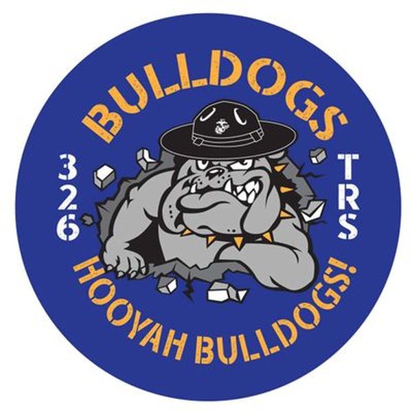 Bulldogs Button 326 Squadron Lackland TRS