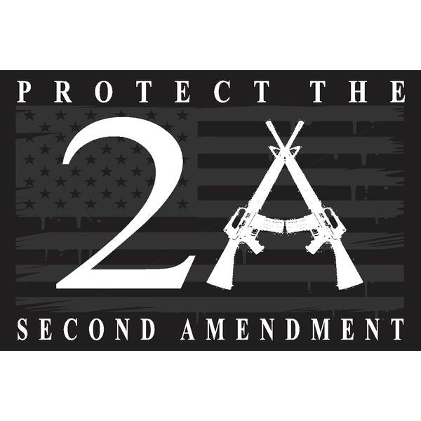 Protect the Second Amendment Sticker