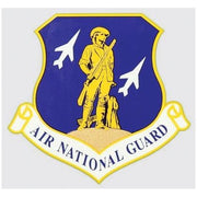 Air National Guard Decal