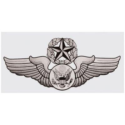 USAF Chief Aircrew Enlisted Decal
