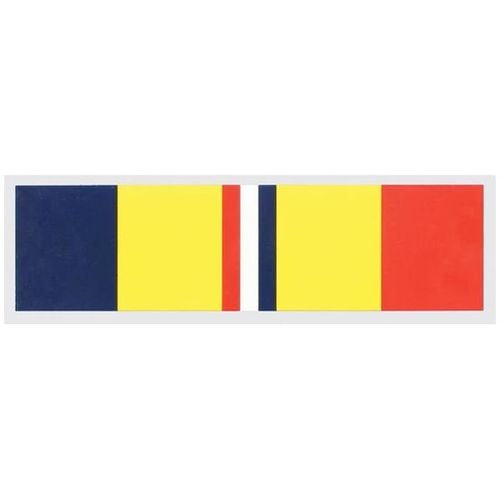 Combat Action Ribbon Decal