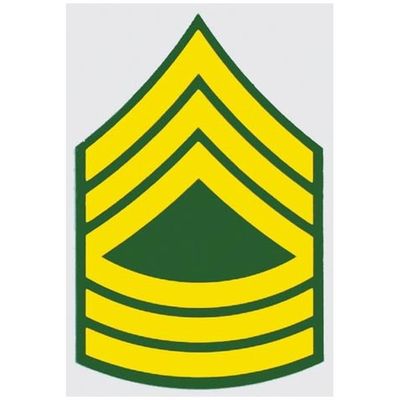 US Army E-8 Master Sgt.Decal