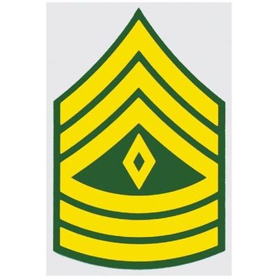 US Army E-8 1st Sgt.Decal