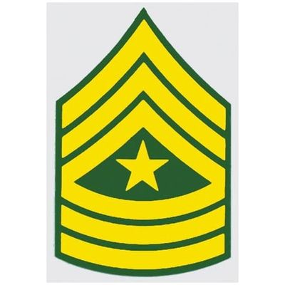 US Army E-9 Sgt.Major Decal