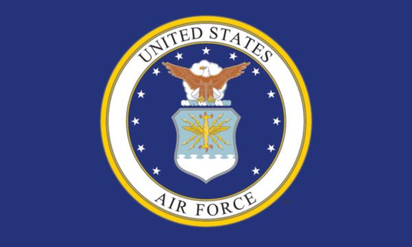 US Air Force stick Flag
